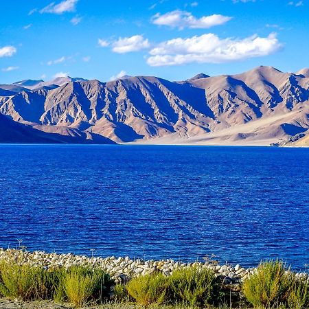 Astrostays At Pangong Spangmik المظهر الخارجي الصورة